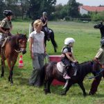 Westernový trail vyhráli modrooký Monty, Rin ze Semic a Largo