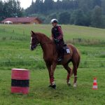 Westernový trail vyhráli modrooký Monty, Rin ze Semic a Largo