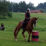 Westernový trail vyhráli modrooký Monty, Rin ze Semic a Largo