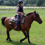 Westernový trail vyhráli modrooký Monty, Rin ze Semic a Largo