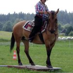 Westernový trail vyhráli modrooký Monty, Rin ze Semic a Largo