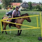 Westernový trail vyhráli modrooký Monty, Rin ze Semic a Largo