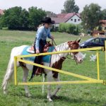 Westernový trail vyhráli modrooký Monty, Rin ze Semic a Largo