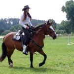 Westernový trail vyhráli modrooký Monty, Rin ze Semic a Largo