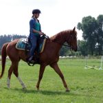 Westernový trail vyhráli modrooký Monty, Rin ze Semic a Largo