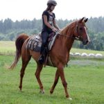 Westernový trail vyhráli modrooký Monty, Rin ze Semic a Largo