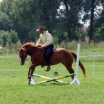Westernový trail vyhráli modrooký Monty, Rin ze Semic a Largo