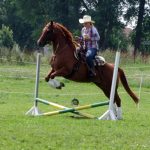 Westernový trail vyhráli modrooký Monty, Rin ze Semic a Largo