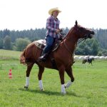 Westernový trail vyhráli modrooký Monty, Rin ze Semic a Largo