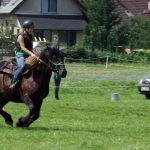 Westernový trail vyhráli modrooký Monty, Rin ze Semic a Largo