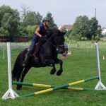Westernový trail vyhráli modrooký Monty, Rin ze Semic a Largo
