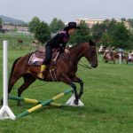 Westernový trail vyhráli modrooký Monty, Rin ze Semic a Largo