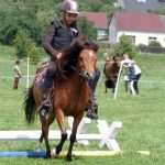 Westernový trail vyhráli modrooký Monty, Rin ze Semic a Largo