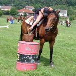 Westernový trail vyhráli modrooký Monty, Rin ze Semic a Largo
