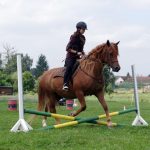 Westernový trail vyhráli modrooký Monty, Rin ze Semic a Largo