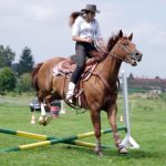 Westernový trail vyhráli modrooký Monty, Rin ze Semic a Largo