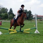 Westernový trail vyhráli modrooký Monty, Rin ze Semic a Largo
