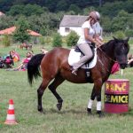 Westernový trail vyhráli modrooký Monty, Rin ze Semic a Largo