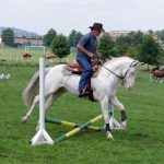 Westernový trail vyhráli modrooký Monty, Rin ze Semic a Largo