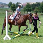 Westernový trail vyhráli modrooký Monty, Rin ze Semic a Largo