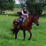 Westernový trail vyhráli modrooký Monty, Rin ze Semic a Largo