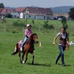 Westernový trail vyhráli modrooký Monty, Rin ze Semic a Largo