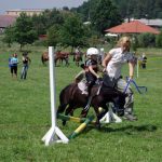 Westernový trail vyhráli modrooký Monty, Rin ze Semic a Largo