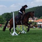 Westernový trail vyhráli modrooký Monty, Rin ze Semic a Largo