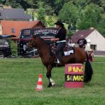 Westernový trail vyhráli modrooký Monty, Rin ze Semic a Largo