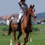 Westernový trail vyhráli modrooký Monty, Rin ze Semic a Largo