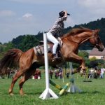 Westernový trail vyhráli modrooký Monty, Rin ze Semic a Largo