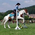 Westernový trail vyhráli modrooký Monty, Rin ze Semic a Largo