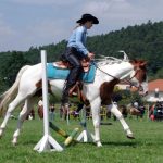 Westernový trail vyhráli modrooký Monty, Rin ze Semic a Largo