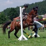 Westernový trail vyhráli modrooký Monty, Rin ze Semic a Largo