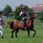 Westernový trail vyhráli modrooký Monty, Rin ze Semic a Largo