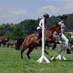 Westernový trail vyhráli modrooký Monty, Rin ze Semic a Largo