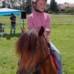 Westernový trail vyhráli modrooký Monty, Rin ze Semic a Largo