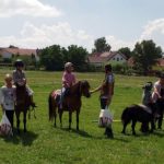 Westernový trail vyhráli modrooký Monty, Rin ze Semic a Largo