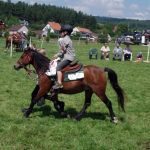 Westernový trail vyhráli modrooký Monty, Rin ze Semic a Largo