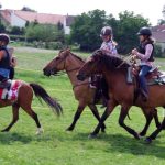 Westernový trail vyhráli modrooký Monty, Rin ze Semic a Largo