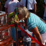 Salátová mísa na strakonických tenisových dvorcích