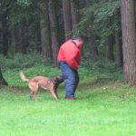 Policejní psovodi se utkali na krajském přeboru
