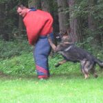 Policejní psovodi se utkali na krajském přeboru