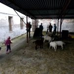 Den zemědělců přilákal do Měšic stovky lidí