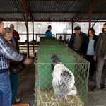 Den zemědělců přilákal do Měšic stovky lidí