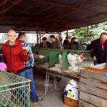 Den zemědělců přilákal do Měšic stovky lidí