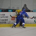 Lední hokej: Tábor rozhodl z přesilovek a Vajgar odjel s prázdnou