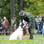Den svatého Huberta v Milevsku přilákal stovky lidí