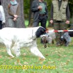 Den svatého Huberta v Milevsku přilákal stovky lidí