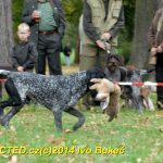 Den svatého Huberta v Milevsku přilákal stovky lidí